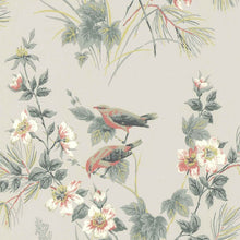 Load image into Gallery viewer, 61241
