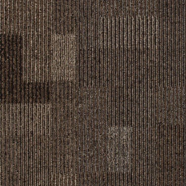 Cityscope Civitan Trail