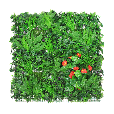 Jardín Selva de Helechos con Calas Rojas